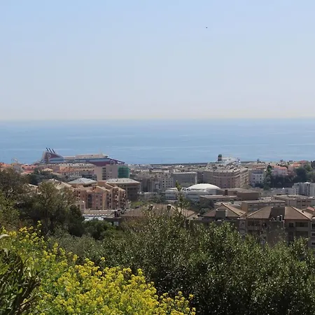 Vue Mer Amarylis Cardo
